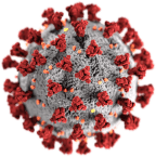 Corona Virus